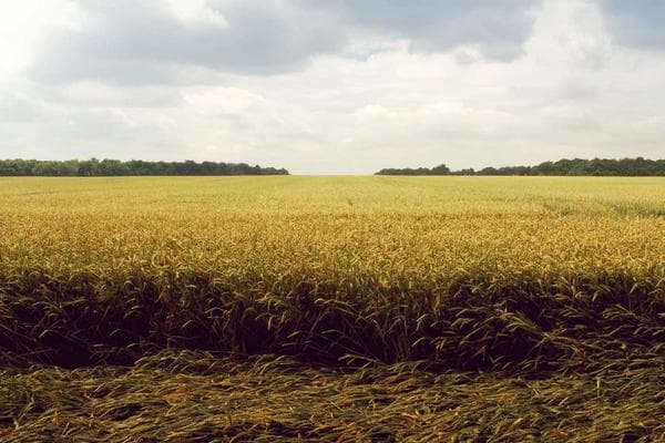 Point of Sale (POS) System